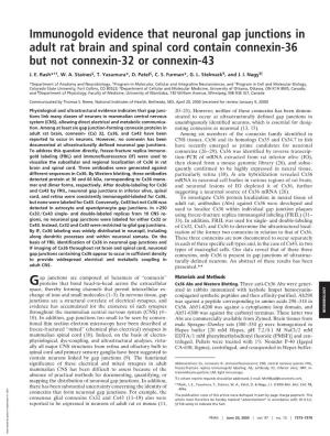 Immunogold Evidence That Neuronal Gap Junctions in Adult Rat Brain and Spinal Cord Contain Connexin-36 but Not Connexin-32 Or Connexin-43