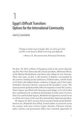 Egypt's Difficult Transition