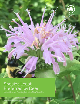 Species Least Preferred by Deer Native Species Planting Guide for New York City
