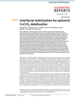 Interfacial Stabilization for Epitaxial Cucro2 Delafossites