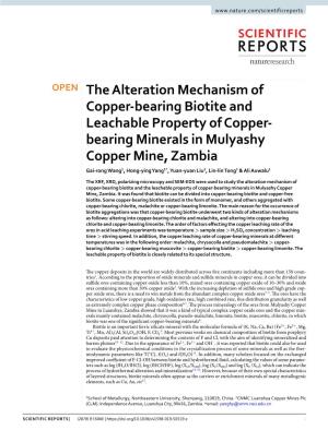 Bearing Minerals in Mulyashy Copper Mine, Zambia Gai-Rong Wang1, Hong-Ying Yang1*, Yuan-Yuan Liu2, Lin-Lin Tong1 & Ali Auwalu1