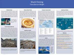 Fishing for Sharks History of Shark Finning Protection Towards Sharks Importance of Sharks Sharks Are a Top Predator of the Ocean