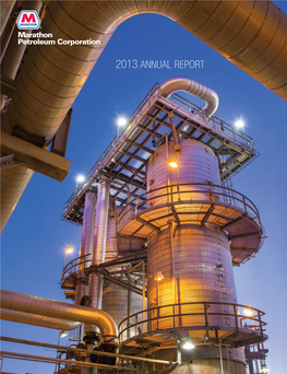 2013 Annual Report Financial Highlights