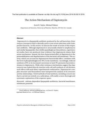 The Action Mechanism of Daptomycin
