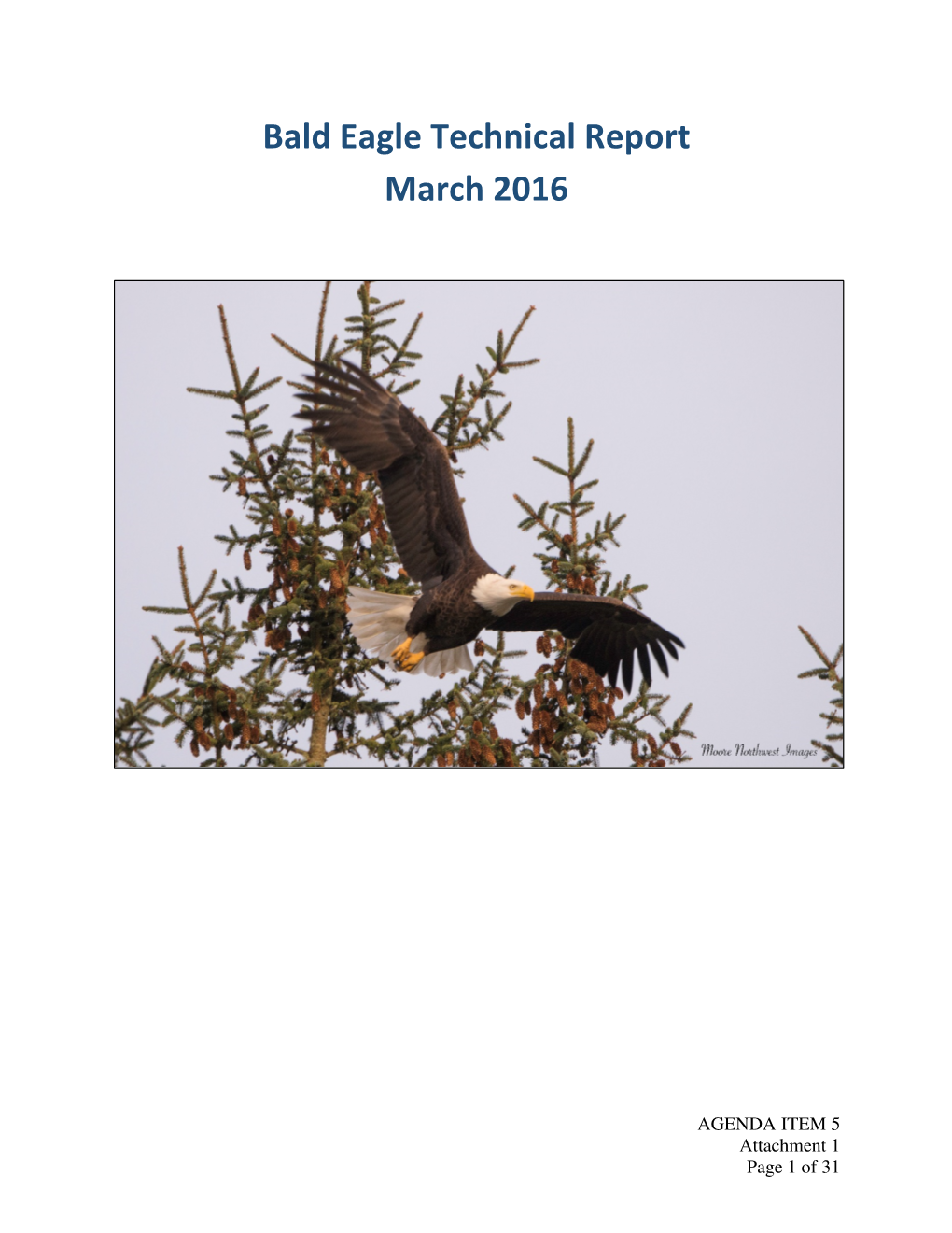 Bald Eagle Technical Report March 2016