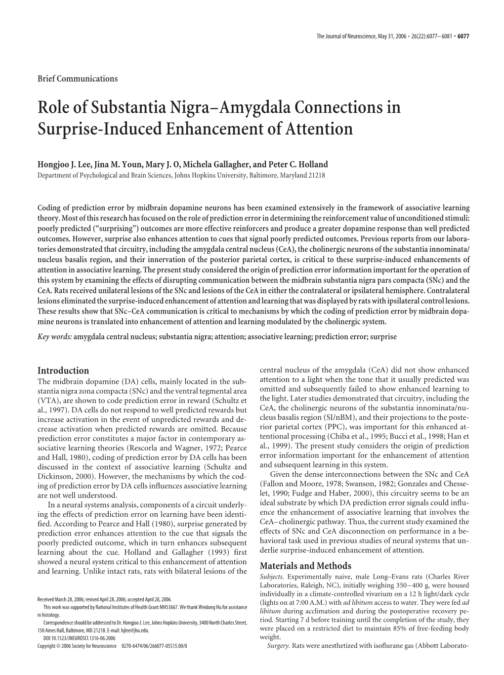 Role of Substantia Nigra–Amygdala Connections in Surprise-Induced Enhancement of Attention
