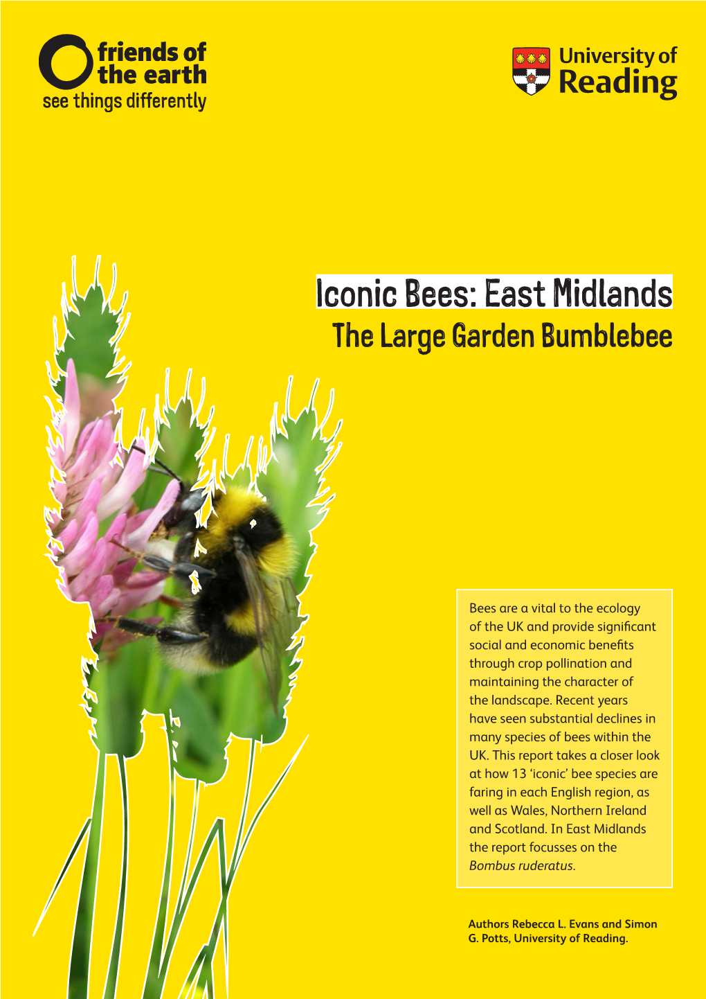 Iconic Bees: East Midlands the Large Garden Bumblebee