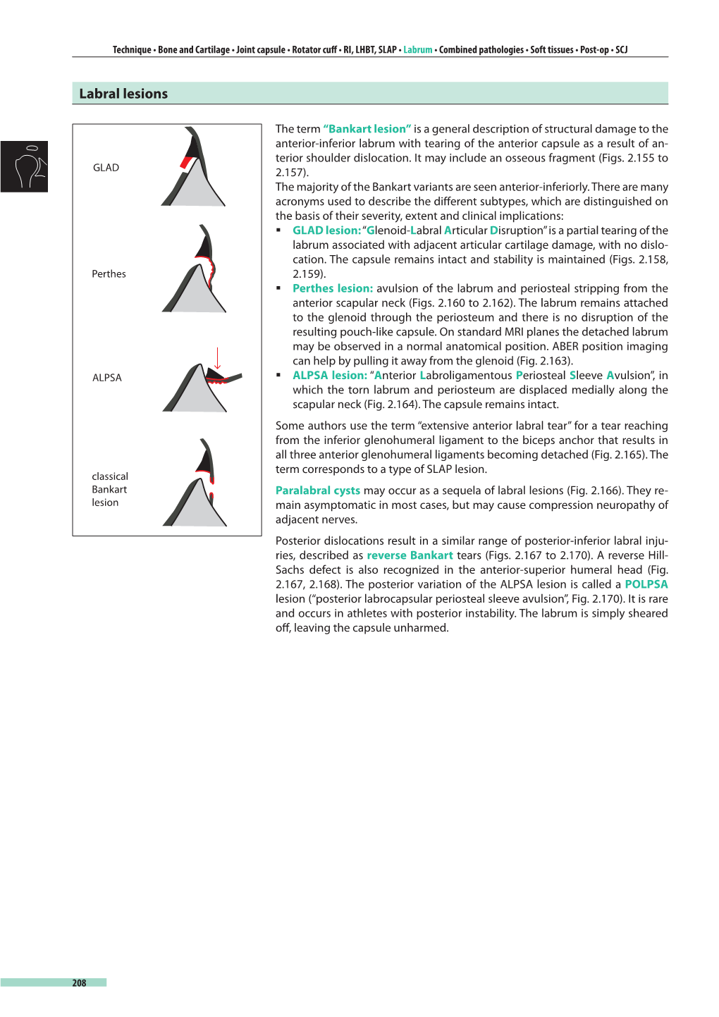 MRI Essentials Demo Shoulder