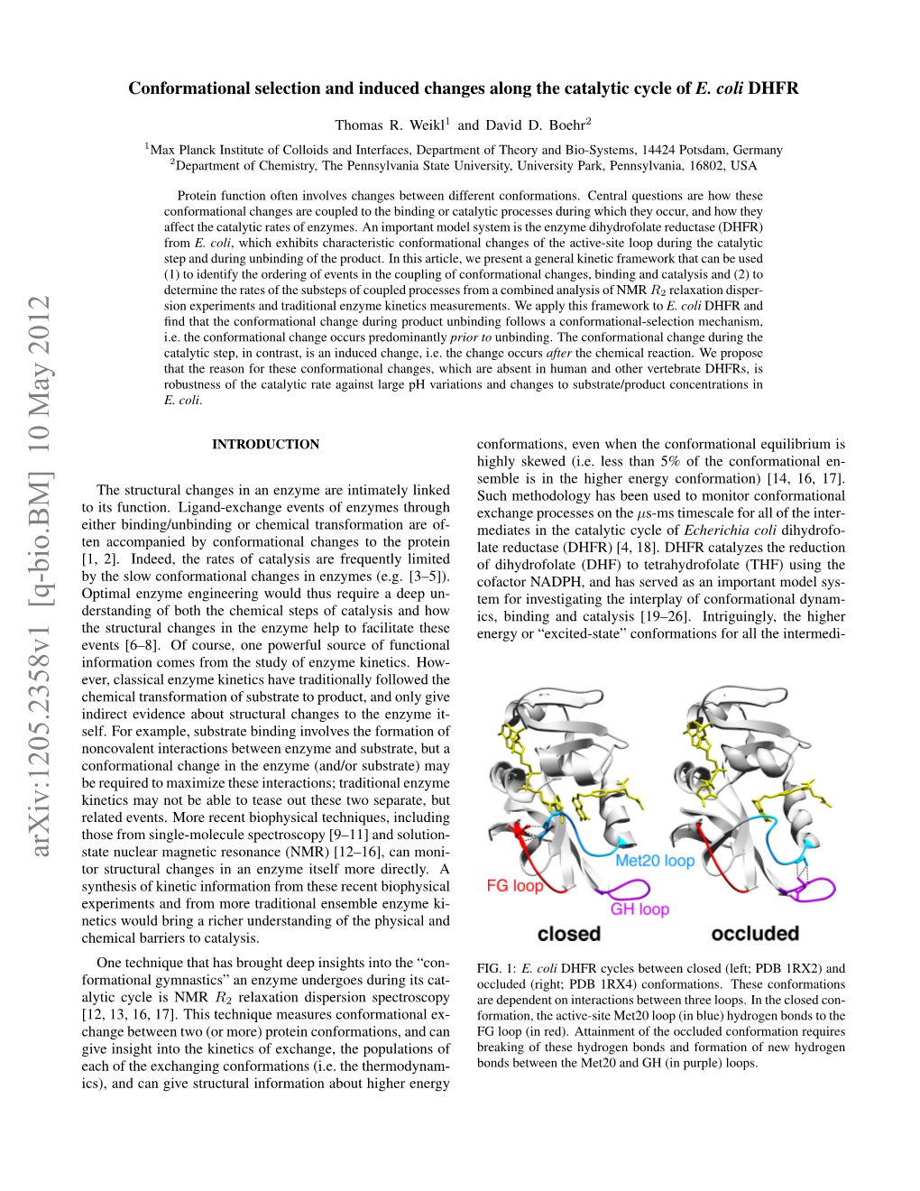 Conformational Selection and Induced Changes Along the Catalytic Cycle of E