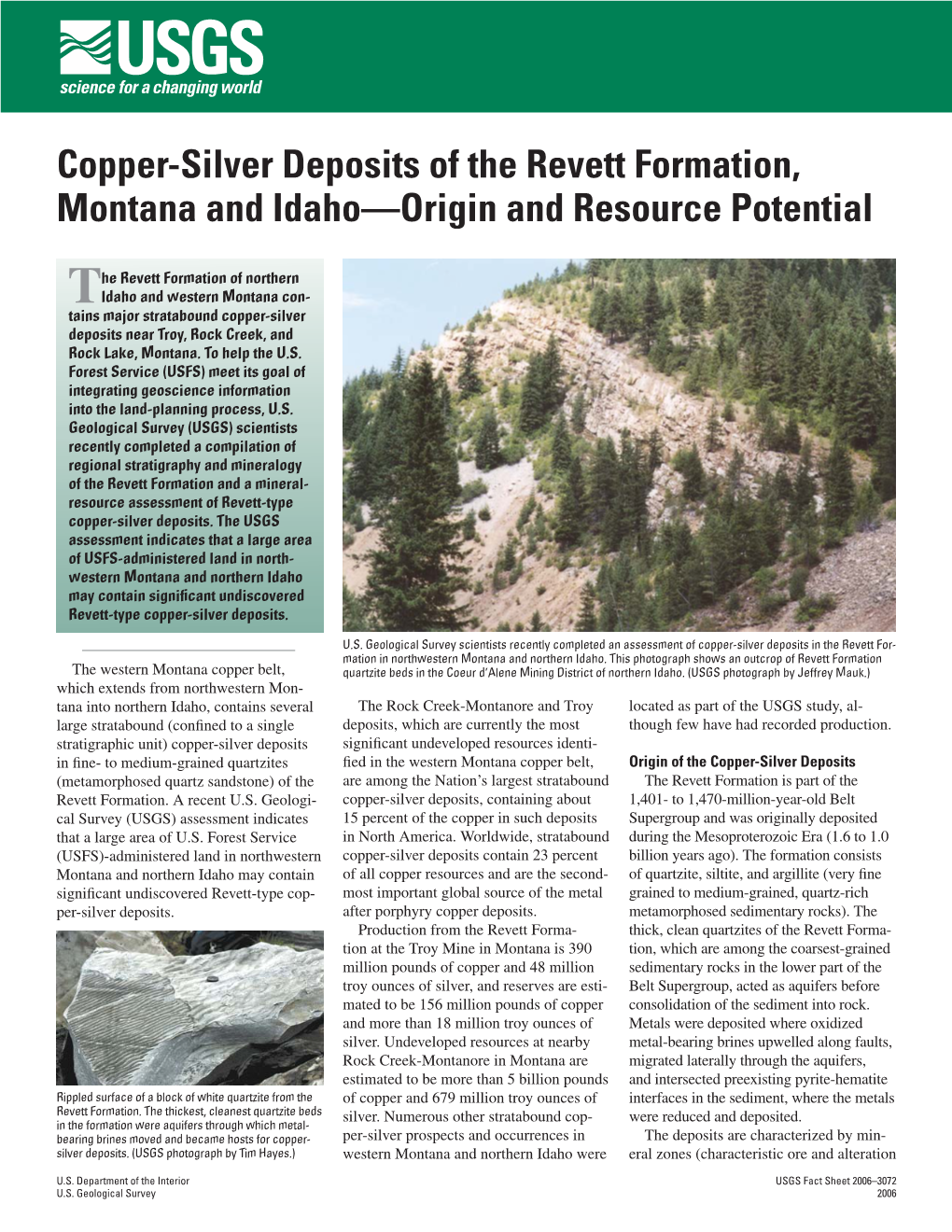 Copper-Silver Deposits of the Revett Formation, Montana and Idaho—Origin and Resource Potential