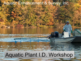 Aquatic Plant I.D. Workshop Free Floating