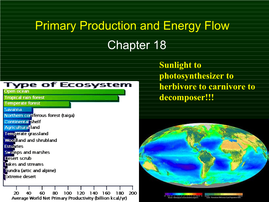 Primary Production and Energy Flow Chapter 18