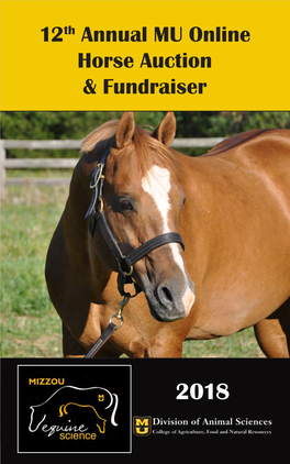 2018 Online Horse Auction Catalog