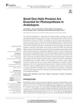 Small One-Helix Proteins Are Essential for Photosynthesis in Arabidopsis