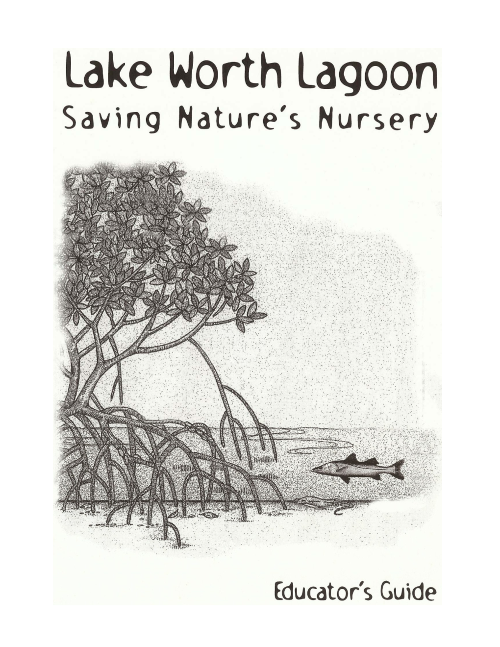 Lake Worth Lagoon: Saving Nature’S Nursery