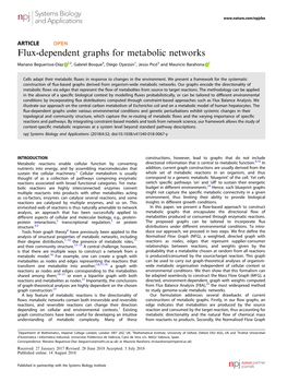 Flux-Dependent Graphs for Metabolic Networks