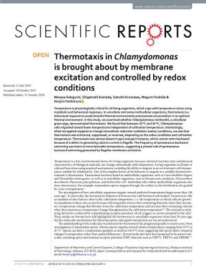 Thermotaxis in Chlamydomonas Is Brought About by Membrane