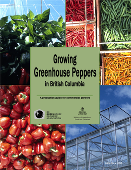 Growing Greenhouse Peppers in British Columbia