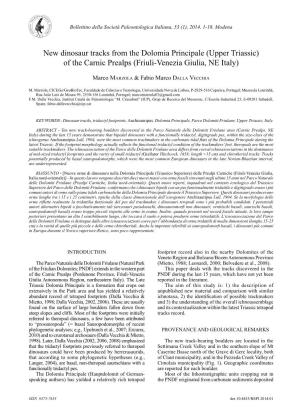 Upper Triassic) of the Carnic Prealps (Friuli-Venezia Giulia, NE Italy)