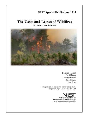 The Costs and Losses of Wildfires a Literature Review