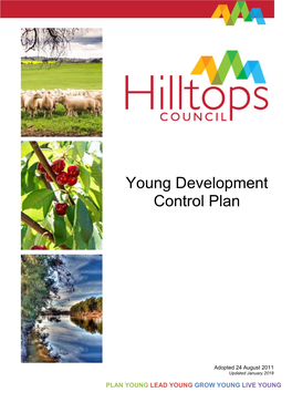 Young Development Control Plan 2011