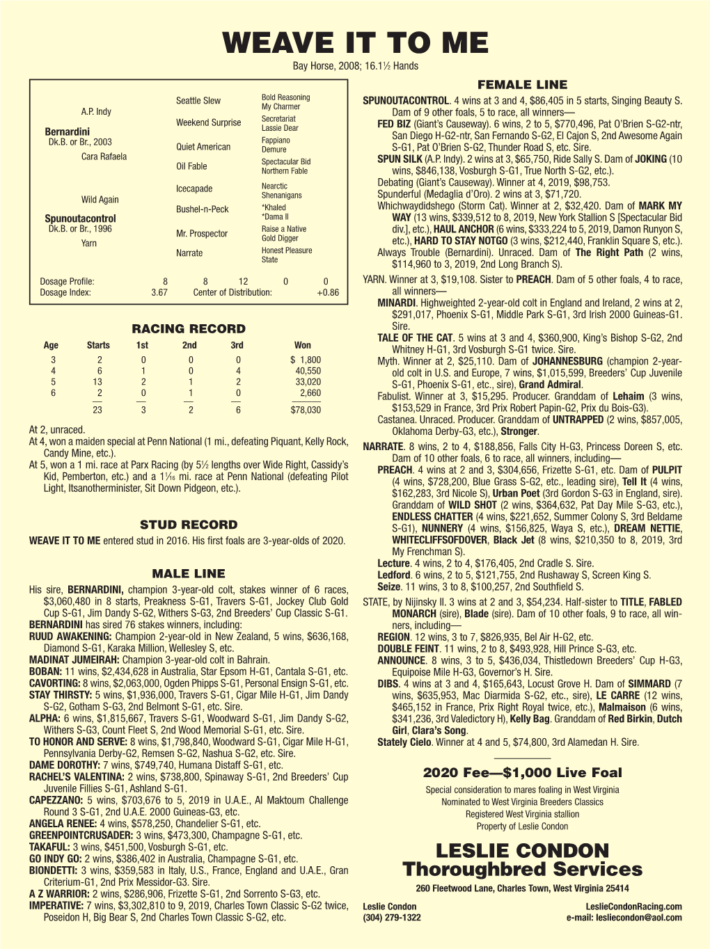 WEAVE IT to ME 1 Bay Horse, 2008; 16.1 ⁄2 Hands FEMALE LINE Seattle Slew Bold Reasoning SPUNOUTACONTROL