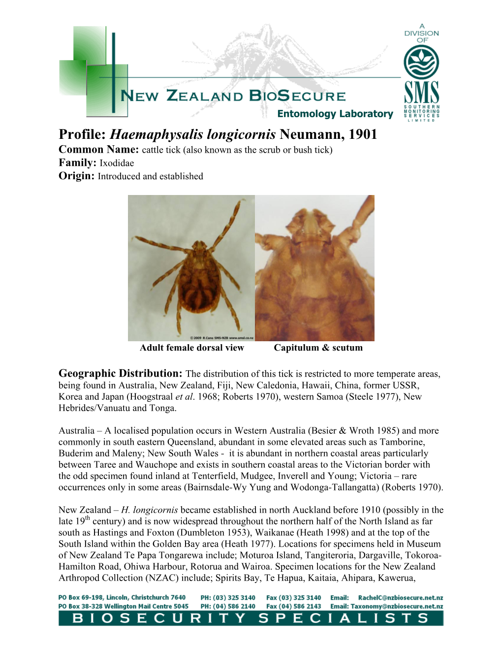 Profile: Haemaphysalis Longicornis Neumann, 1901 Common Name: Cattle Tick (Also Known As the Scrub Or Bush Tick) Family: Ixodidae Origin: Introduced and Established