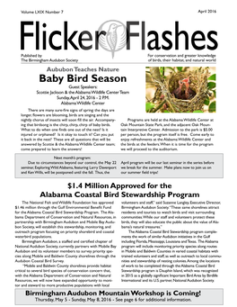 Baby Bird Season Guest Speakers: Scottie Jackson & the Alabama Wildlife Center Team Sunday, April 24, 2016 - 2 P.M