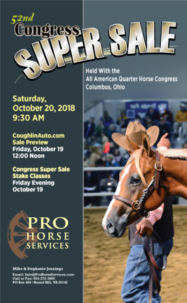 AQHA Points in Open, Amateur, Youth & Novice Classes, from Sale Date Through August 31
