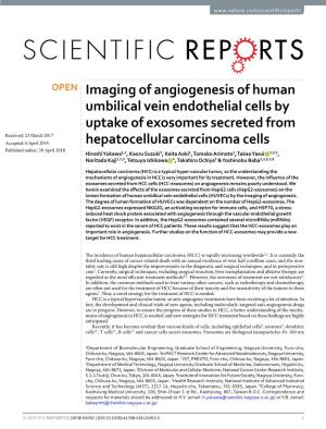Imaging of Angiogenesis of Human Umbilical Vein Endothelial Cells By