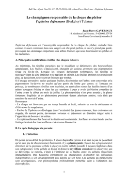 Le Champignon Responsable De La Cloque Du Pêcher Taphrina Deformans (Berkeley) Tulasne