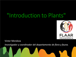 “Introducción a Las Plantas”