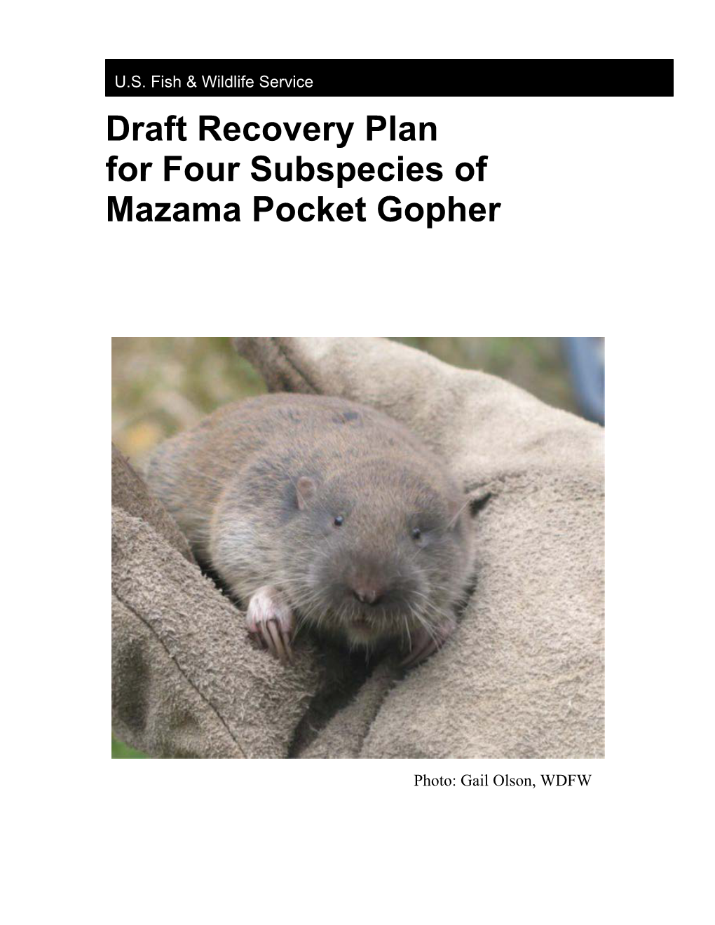 Mazama Pocket Gopher Draft Recovery Plan