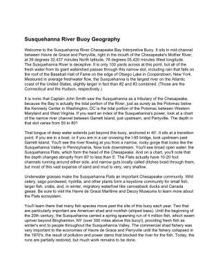 Susquehanna River Buoy Geography