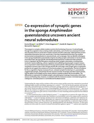 Co-Expression of Synaptic Genes in the Sponge Amphimedon Queenslandica Uncovers Ancient Neural Submodules Eunice Wong 1, Jan Mölter2,3, Victor Anggono 2,4, Sandie M
