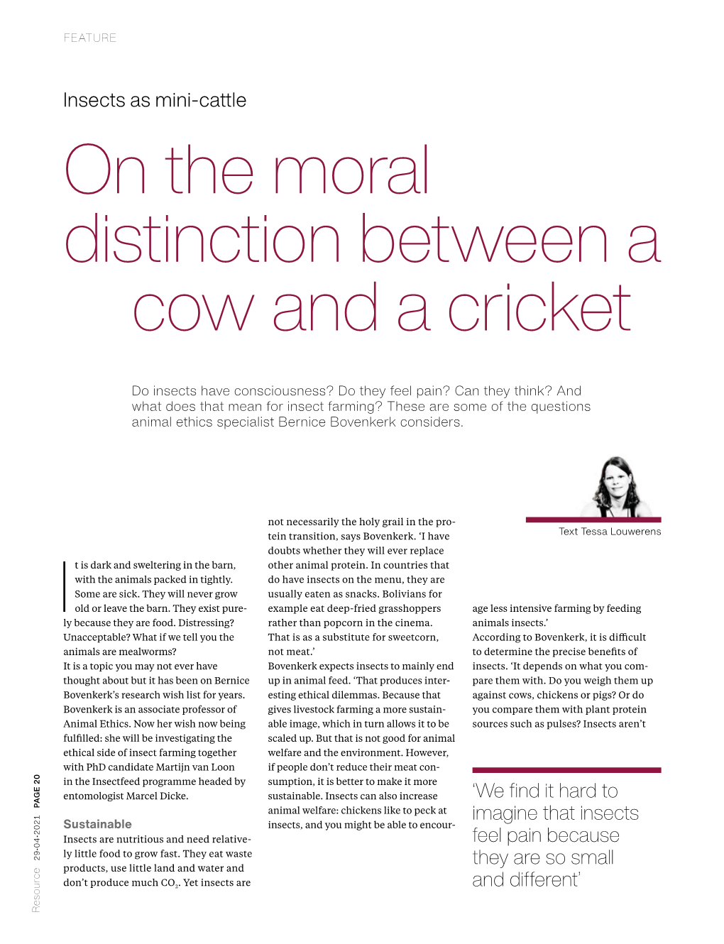 On the Moral Distinction Between a Cow and a Cricket