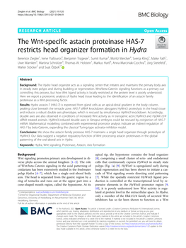 The Wnt-Specific Astacin Proteinase HAS-7 Restricts Head Organizer Formation in Hydra