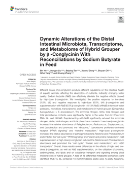Dynamic Alterations of the Distal Intestinal Microbiota, Transcriptome, and Metabolome of Hybrid Grouper by Β-Conglycinin With