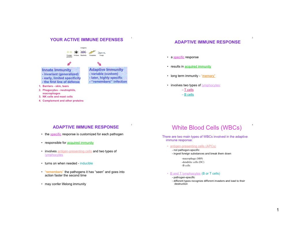 White Blood Cells (Wbcs)