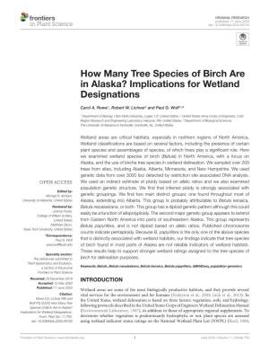 How Many Tree Species of Birch Are in Alaska? Implications for Wetland Designations