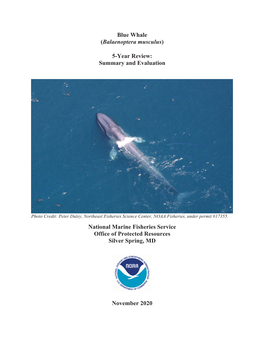 Blue Whale (Balaenoptera Musculus) 5-Year Review
