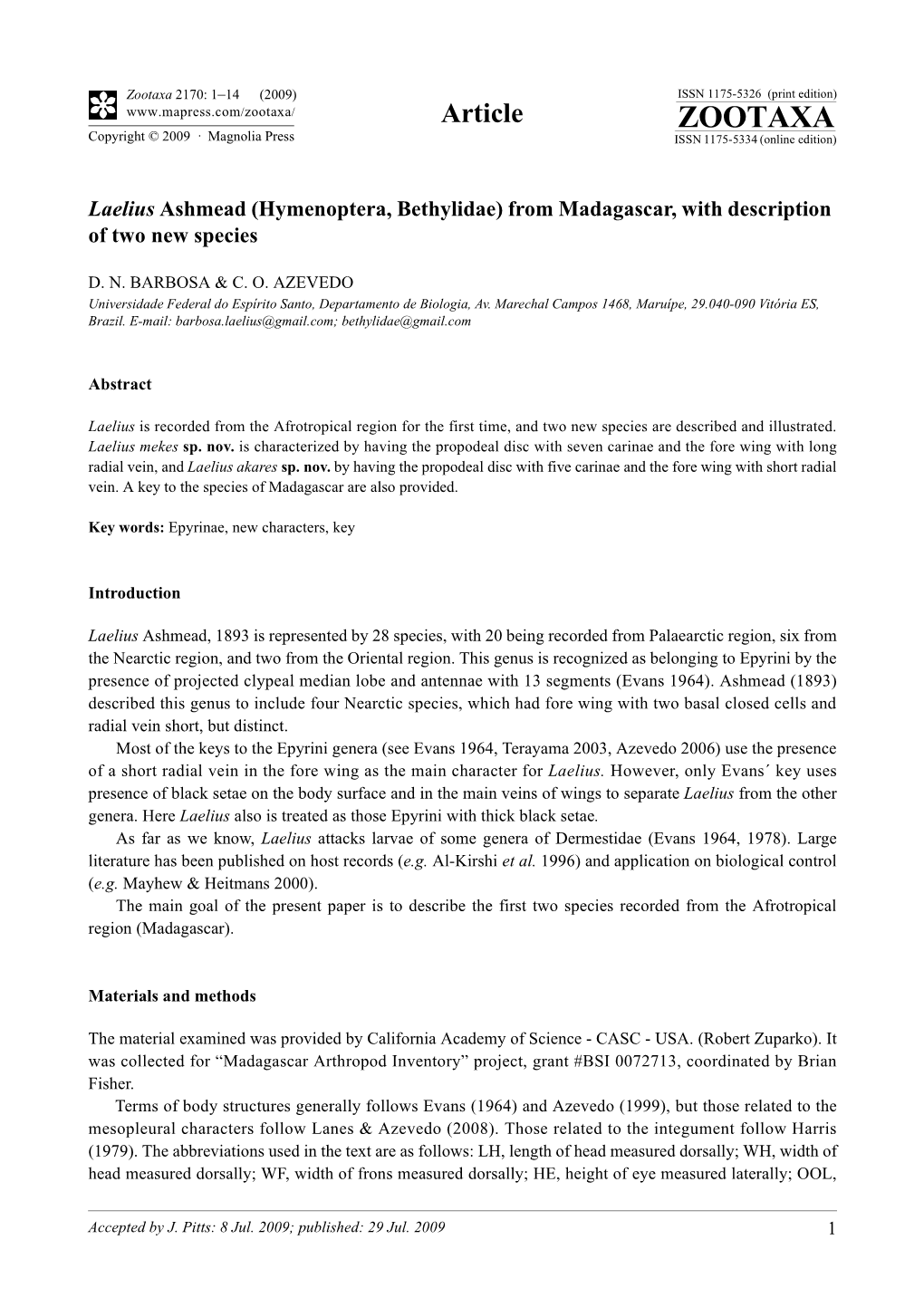 Zootaxa, Laelius Ashmead (Hymenoptera, Bethylidae) From