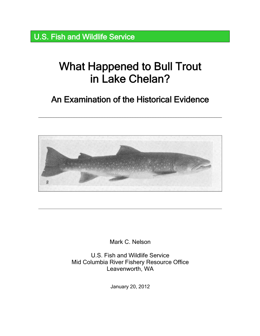 What Happened to Bull Trout in Lake Chelan?