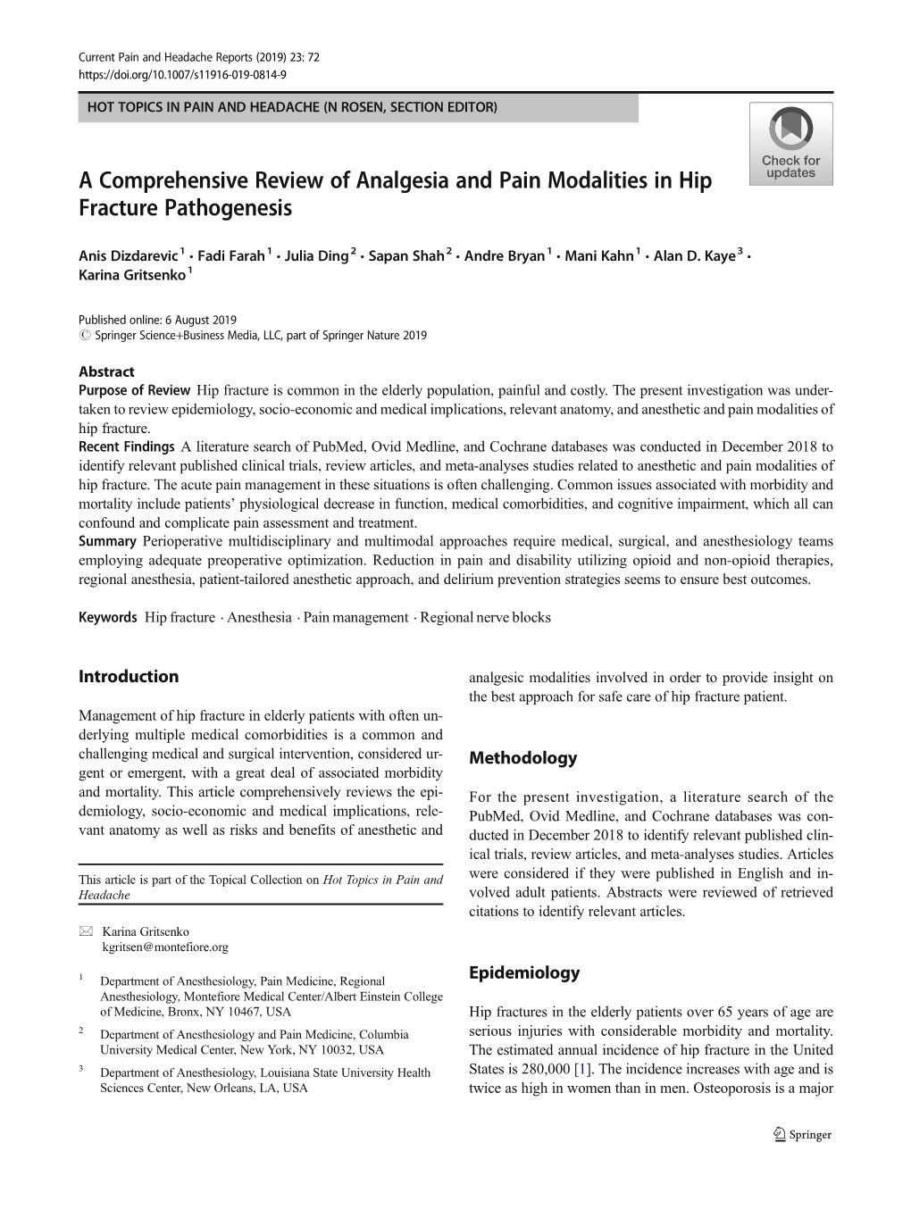 A Comprehensive Review of Analgesia and Pain Modalities in Hip Fracture Pathogenesis