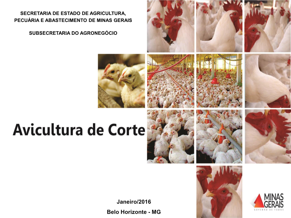 Avicultura Corte Jan 2016.Pdf