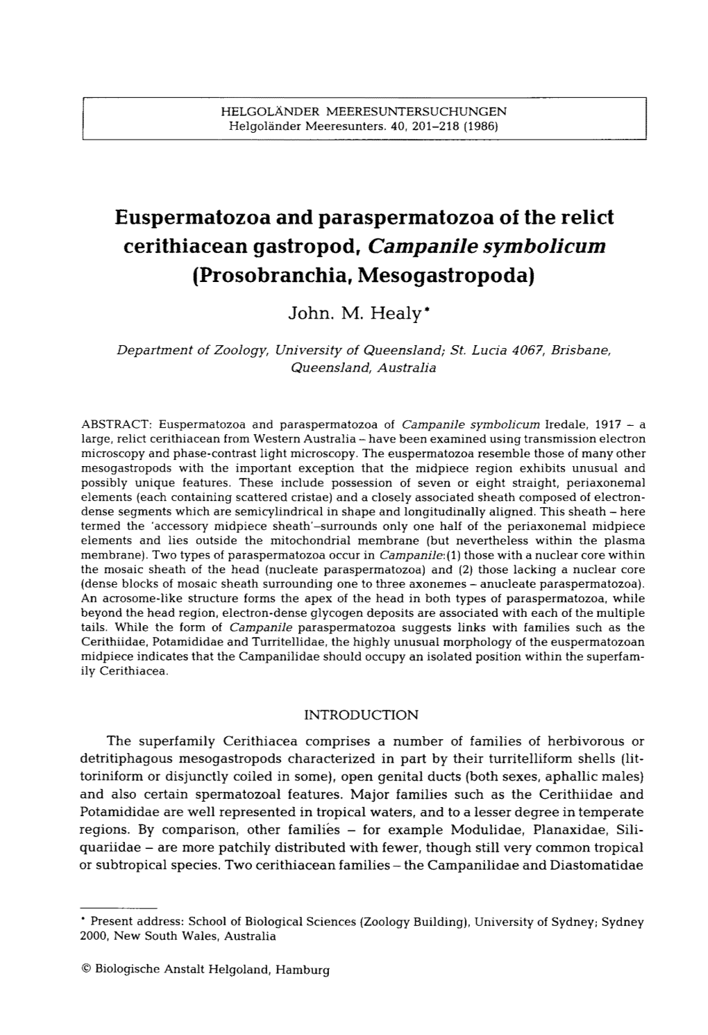 Euspermatozoa and Paraspermatozoa of the Relict Cerithiacean Gastropod, Campanile Symbolicum (Prosobranchia, Mesogastropoda)