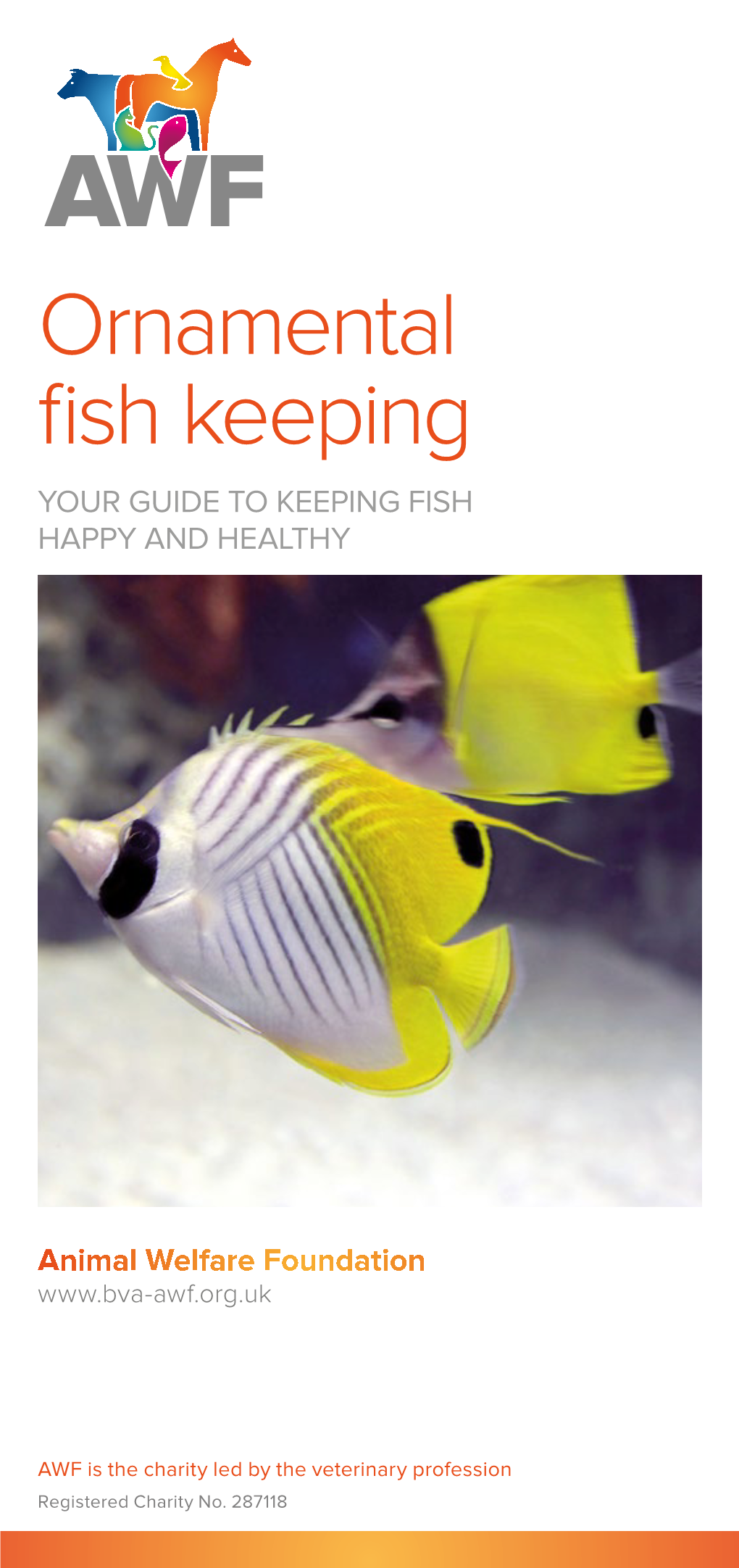 Ornamental Fish Keeping YOUR GUIDE to KEEPING FISH HAPPY and HEALTHY