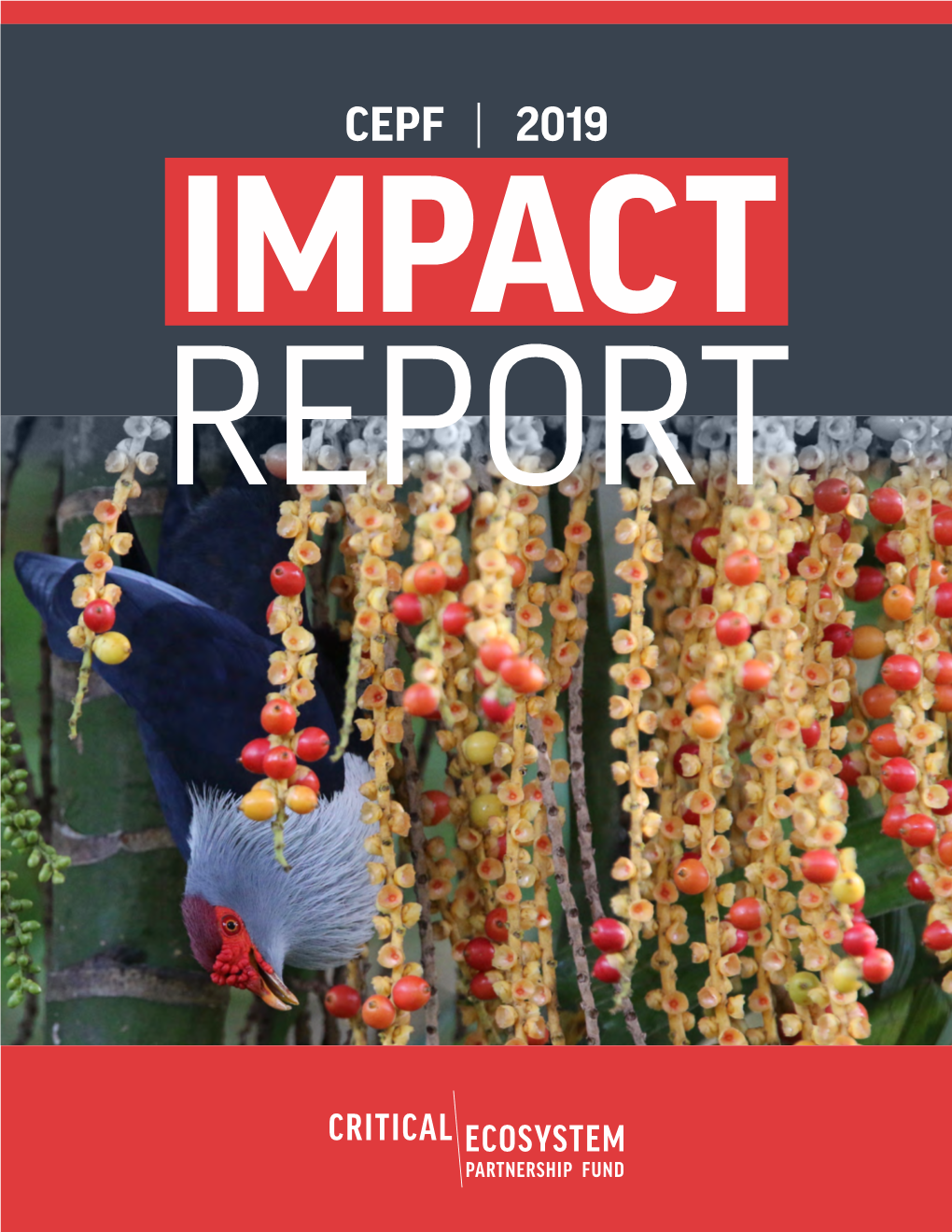 CEPF Impact Report