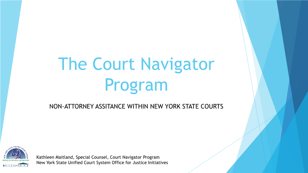 The Court Navigator Program