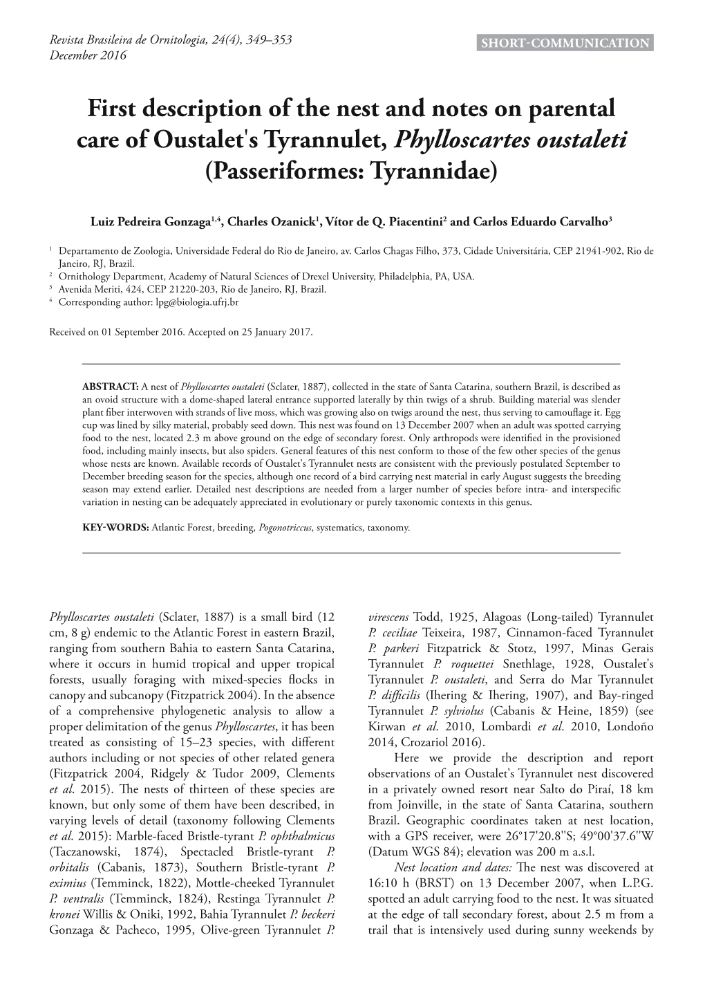 First Description of the Nest and Notes on Parental Care of Oustalet's Tyrannulet, Phylloscartes Oustaleti (Passeriformes: Tyrannidae)